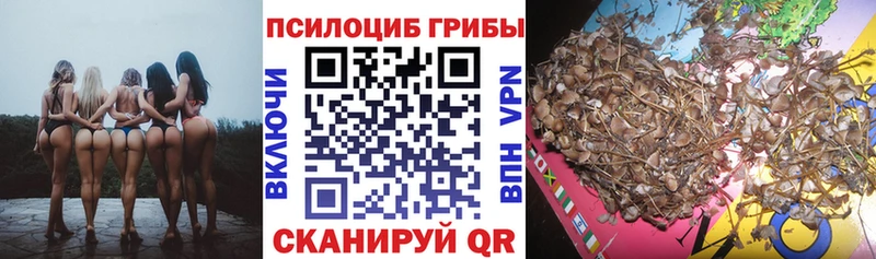 площадка какой сайт Белоярский Галлюциногенные грибы Cubensis
